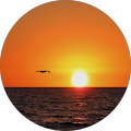 Stephen Shisler Avatar